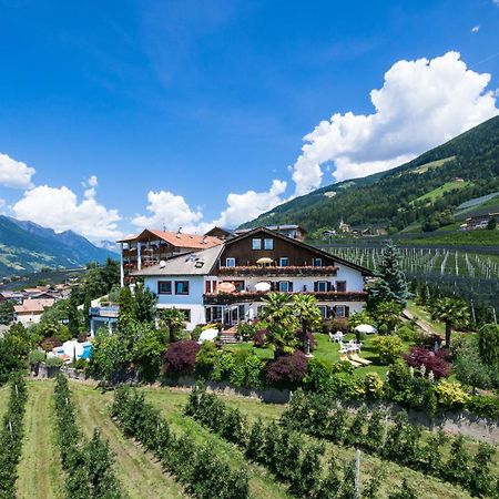 Pension Zum Burggraefler Scena Kültér fotó