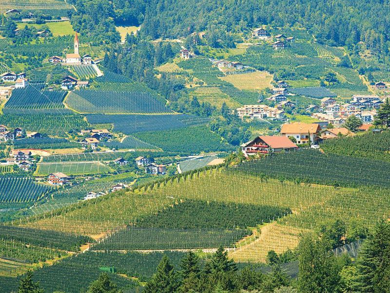 Pension Zum Burggraefler Scena Kültér fotó